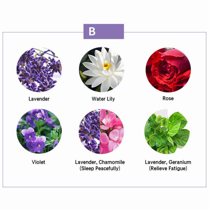 6pcs Aromatherapy Essential Oil Set for Wellness